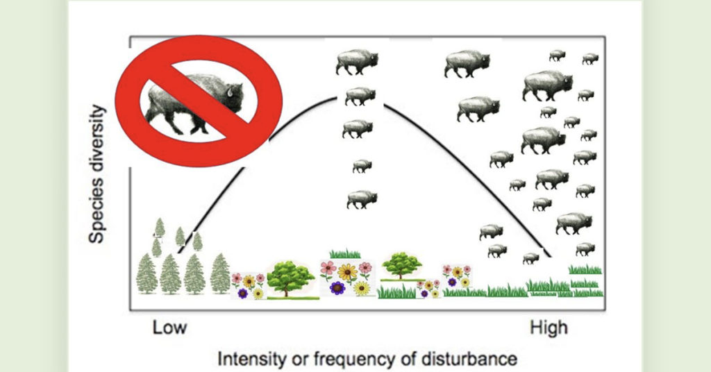 species diversity illustration